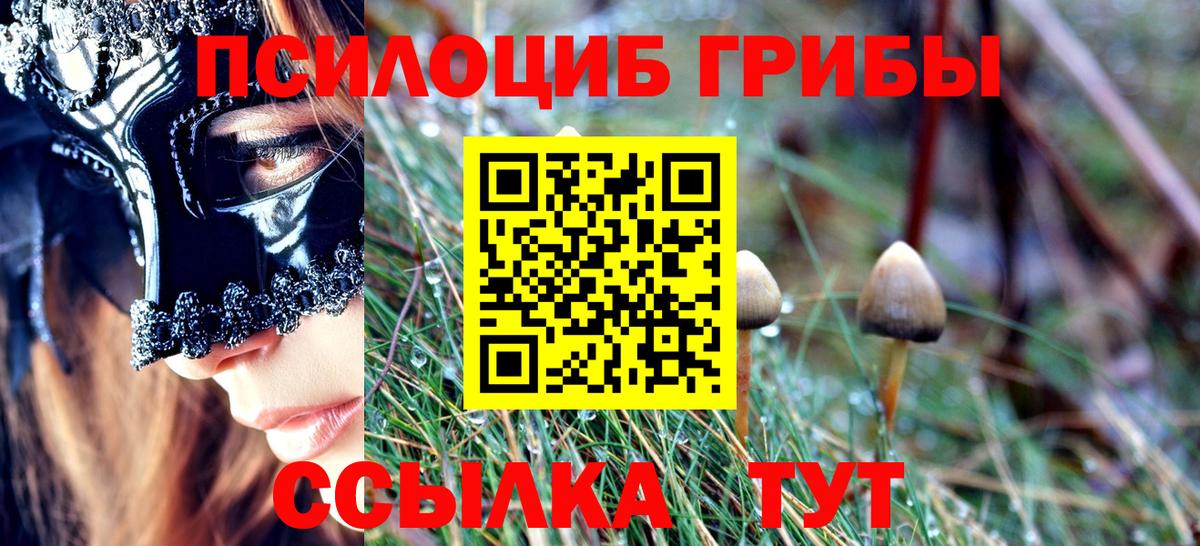 Жигулёвск  Галлюциногенные грибы Cubensis  Вход с VPN 