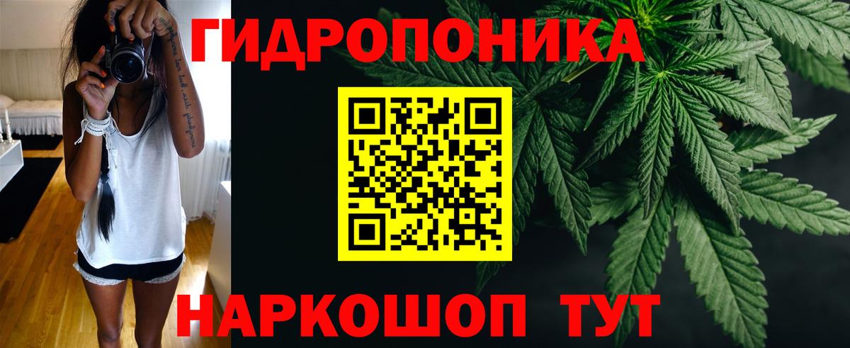 Бошки марихуана план Жигулёвск